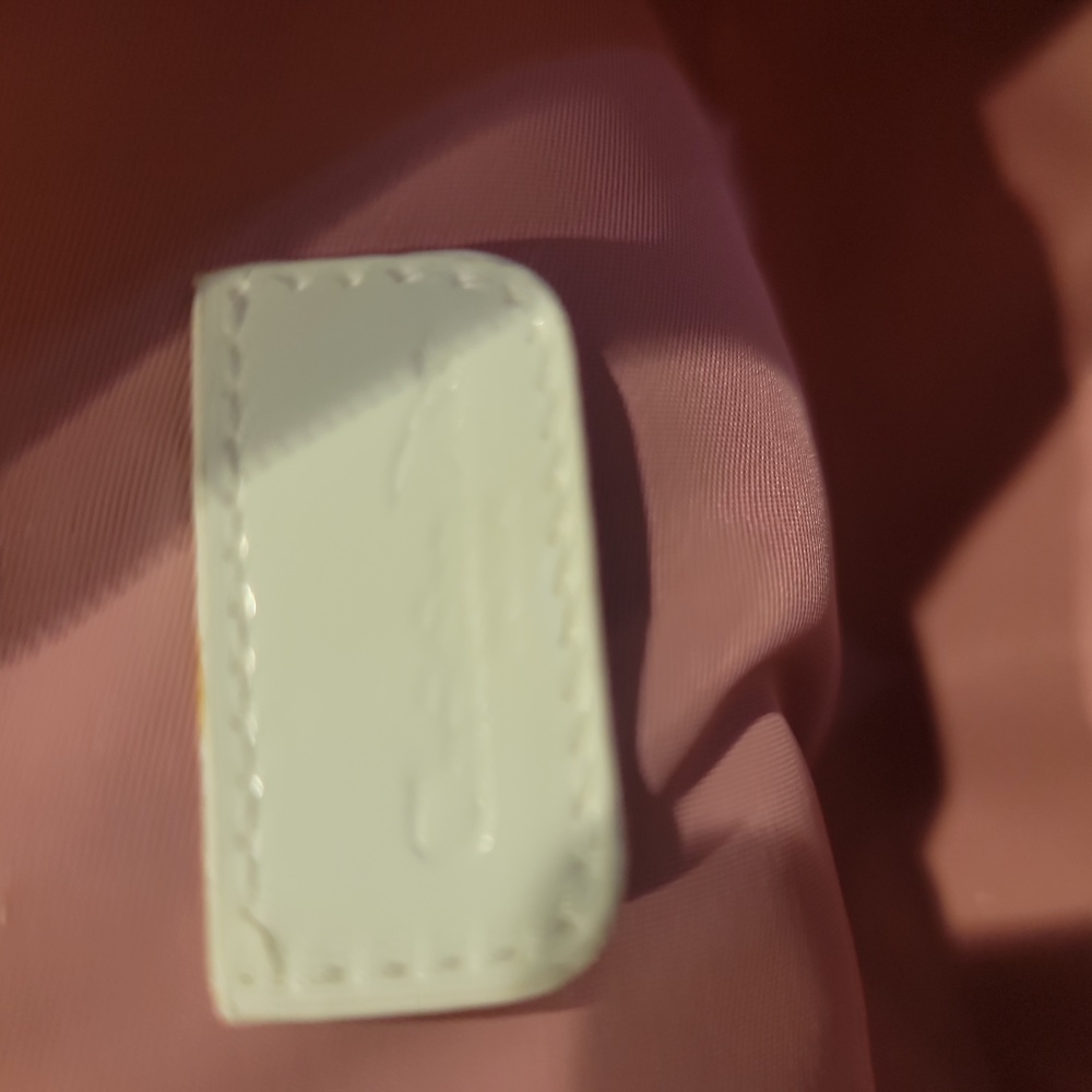 Authentic Dior trotter pouch - Picture 9 of 11